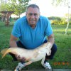 Fehér Tibor 8,50 kg tükörponty